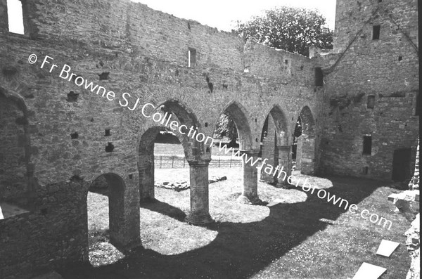 ARDFERT FRIARY SCENES